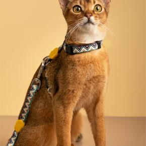 Cat Harness and Leash Set