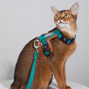 Cat Harness and Leash  Set