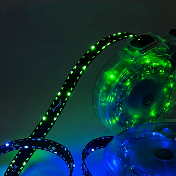 LED rope light dog leash